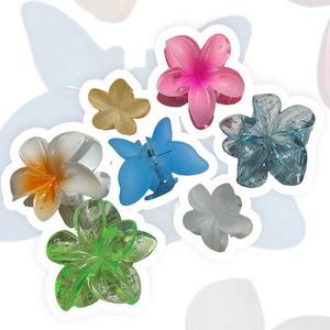 Cute Hair Claw Clip Set pic any 2