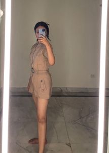 Brown Dress