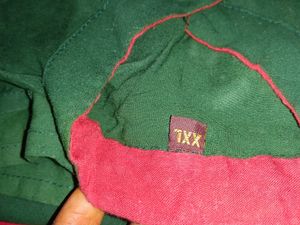 Embroidered Green Tunic Top