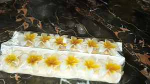 Frangipani Hair Clip (pack of 12)