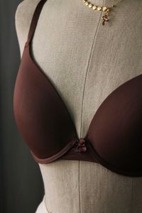 Max Comfy Brown Bra