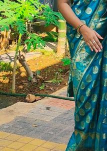 Elegant green Saree