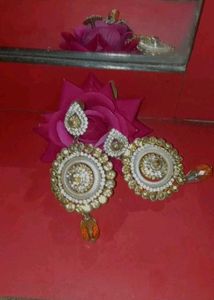 Elegant Stone Earrings