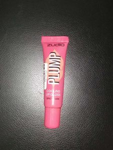 Zudio Plump Spicy Nude Lip Gloss