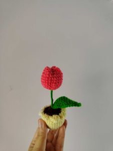 Crochet Tulip Pot