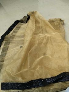 Golden Net Dupatta