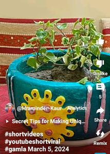 Handmade Cement Planter Pot 🪴