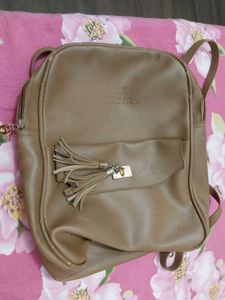 Charlie Bag And Hair Bush