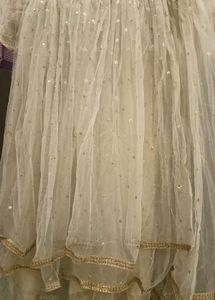 Elegant Ethnic Gown