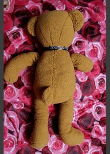 Teddy