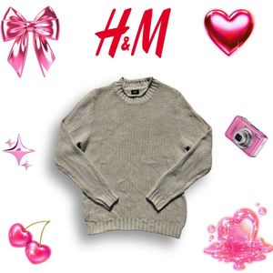 H&M Knit Sweater