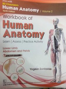 Human Anatomy Workbook Vol 3&amp;4