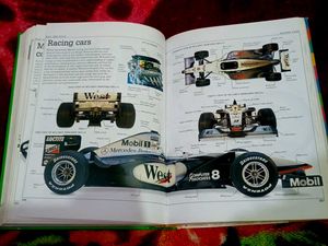 Ultimate Family VISUAL DICTIONARY