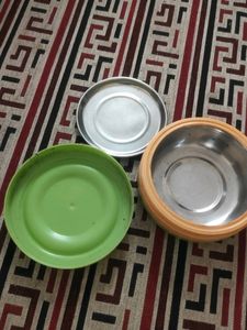 Lunch 🍽️ Tiffin