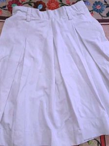 Pleated Skirt (School)