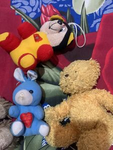 4 Teddy