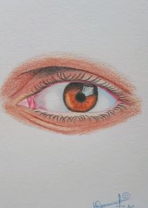 Colour Pencil Drawing