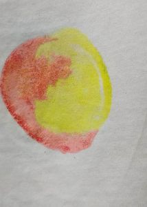 Zara T-shirt For Girls