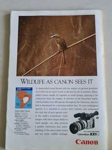 National Geographic - August 1993