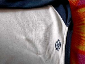 Dickies Raglan Sweatshirt