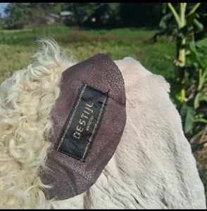 Brown Faux Shearling Jacket