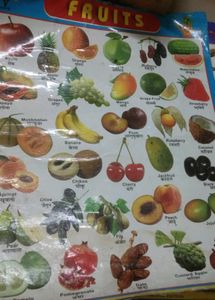 Hindi Varnamala, Vegetables Fruits Animals Chart