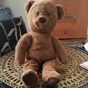Cute Baby Bear