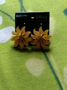 Fashion Earrings