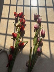 Artificial Tulip Flowers