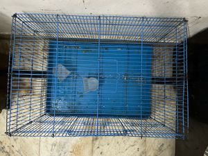 Cage Big Size