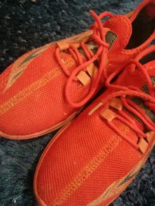 Sports Shoes