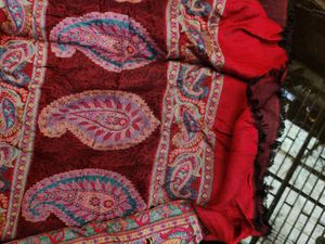 Pashmina Shawl