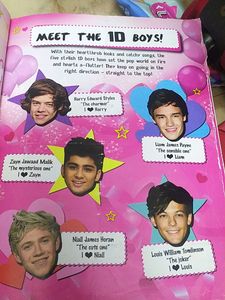 One Direction book