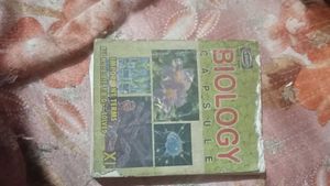 Vintage Cartoon Book