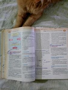 Physiology for Dental Students