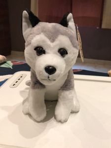 Husky Puppy Plush