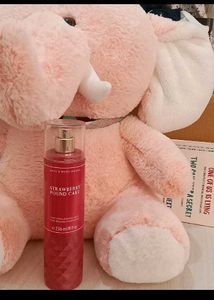 Bbw (Bath And Body Works) Samples 💚
