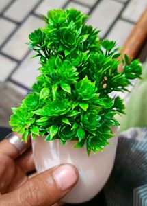 Artificial plants Set Of 5