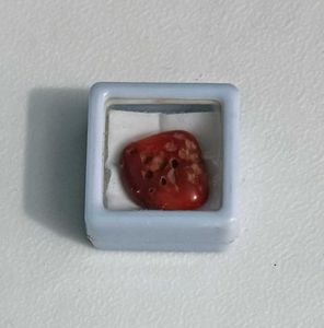 Real Red Coral