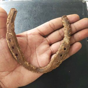 100% Original Kale Ghode ki naal in Iron