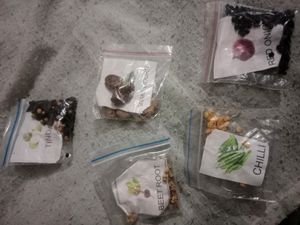 5 Vegetable Seeds