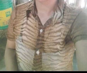 Tiger Print Sheer Top
