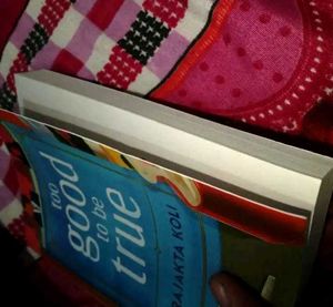 TOO GOOD TO BE TRUE NOVEL