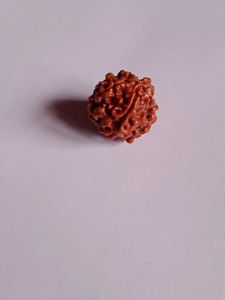 RUDRAKSHA DIKSHA KIT