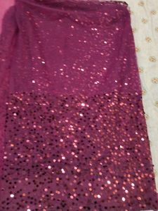 Beautiful Net Saree