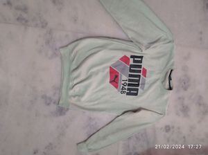 Sweatshirts Green Casual Wear