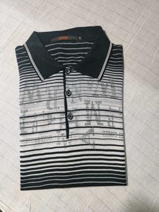 Striped Polo T Shirt