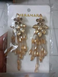 Elegant Hanging Earrings