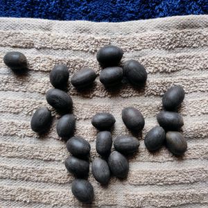 Original Kamal Gatta Lotus Seeds 21 Pcs Lakshmi P