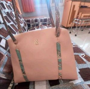 An Amazing Gucci Purse